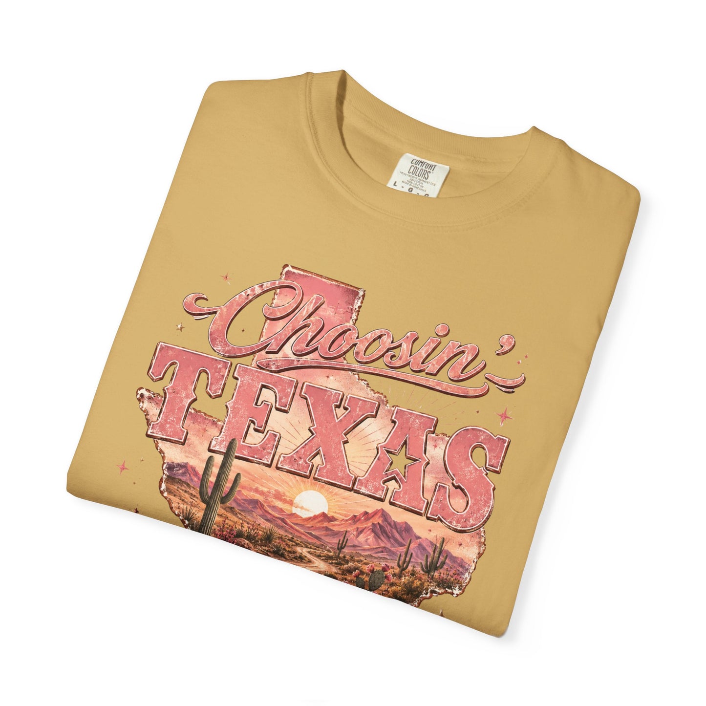 Chasin' Texas T-Shirt — Vintage Desert State Graphic Tee