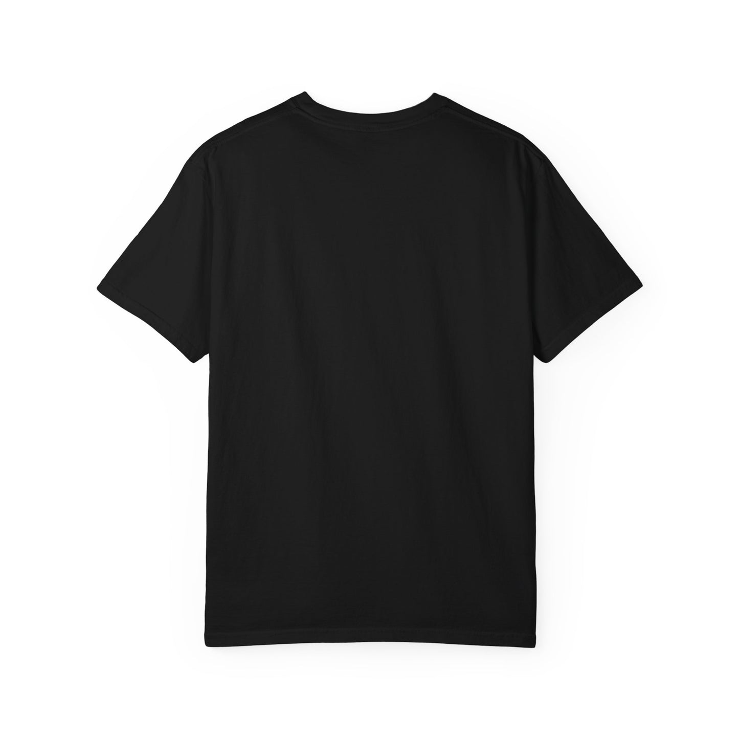 4th of July Hot Dog Dachshund T-Shirt – Patriotic Funny BBQ Tee