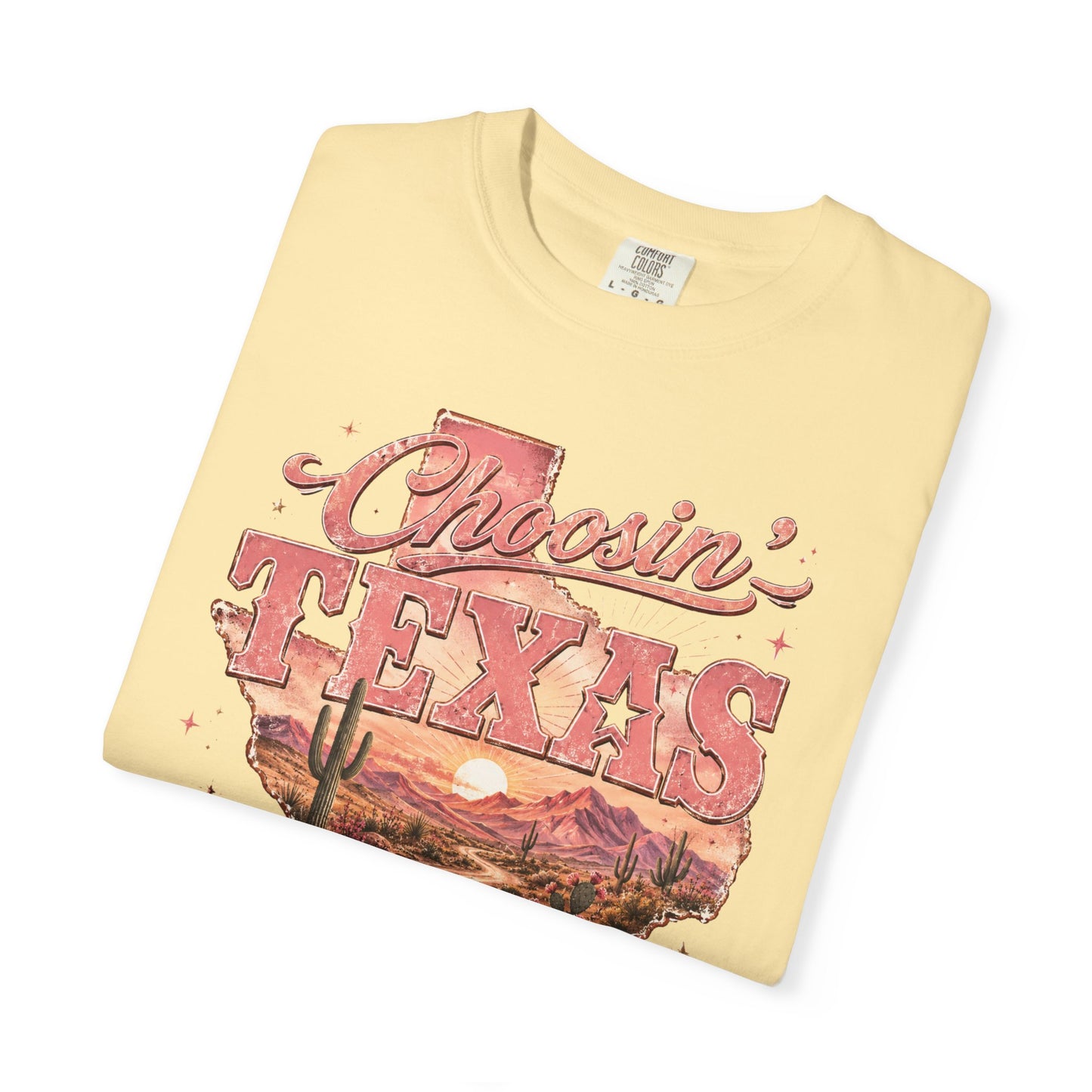 Chasin' Texas T-Shirt — Vintage Desert State Graphic Tee